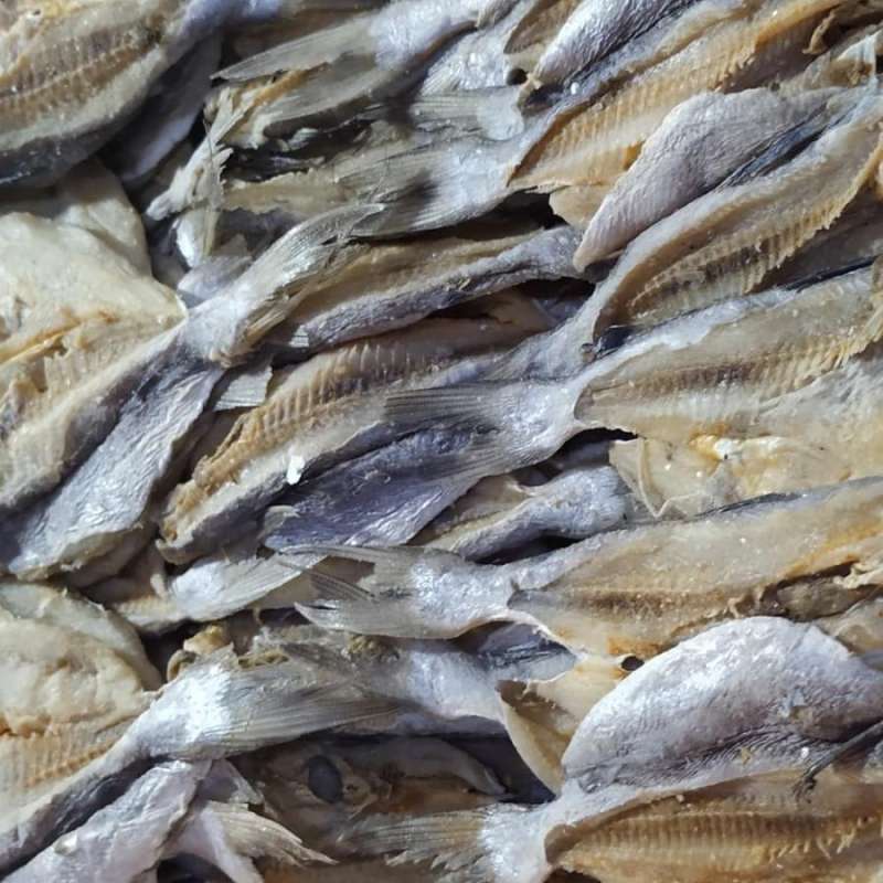 Utik Fish Jual Ikan Asin Jambal Utik Terdekat ๐ท๏ธ Harga Grosir Murah Terupdate ...