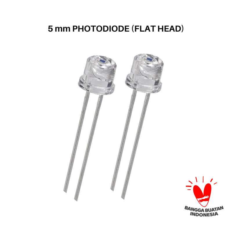 4 Fotodiodi Sensibili Alla Luce 5mm - Per Progetti Elettronici, Rilevatori Di Luce E Sensori Ottici - Foto 4