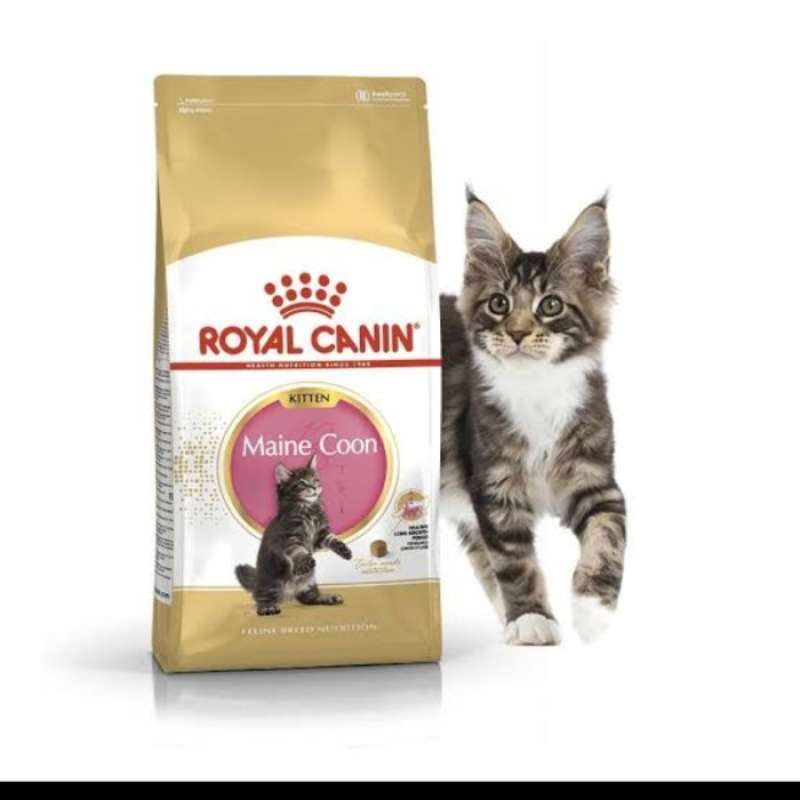 Jual Makanan Kucing / Cat Food Royal Canin Maine Coon Kitten 400 Gram
