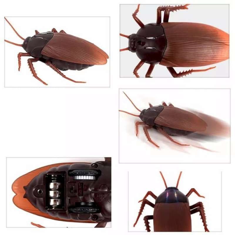 Government Remote Control Cockroach Backpack Promo Maenan Remote Kecoa/ Cockroach Remote Control/ Cockroach Rc ...