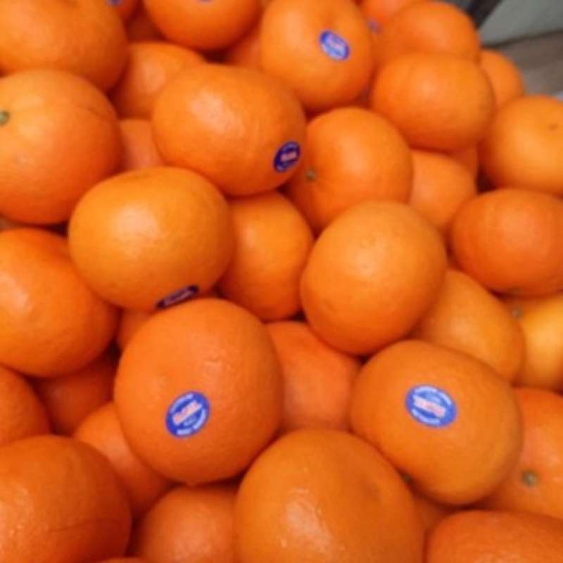Jual Jeruk Online: Panduan Lengkap dari Petani hingga Konsumen
