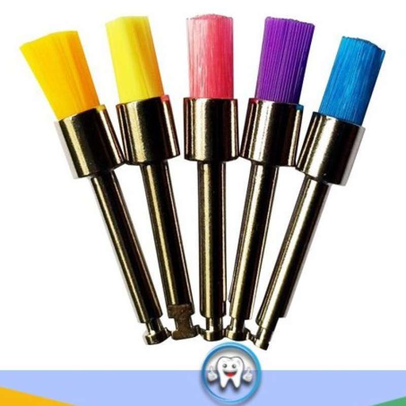 Jual Dental Prophylaxis Brush Teeth And Veneer Polishing 10 Biji Di