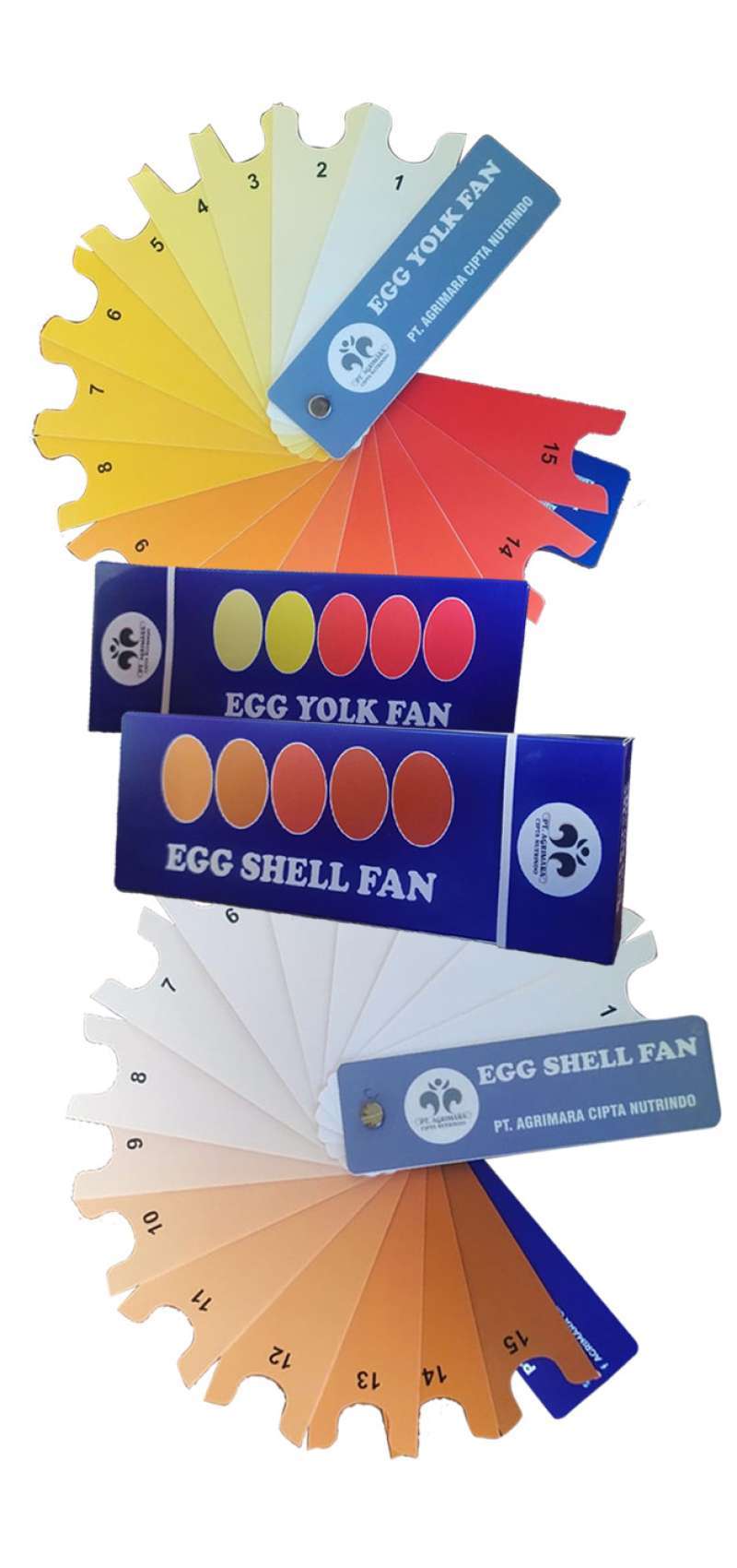 Promo Egg Yolk Color Chart Kipas Warna Telur Egg Yolk Colour Fan