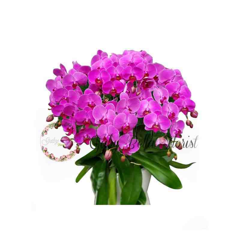 Jual Table Flower – 614 Bunga Meja Anggrek Bulan Bunga Cantik Bunga