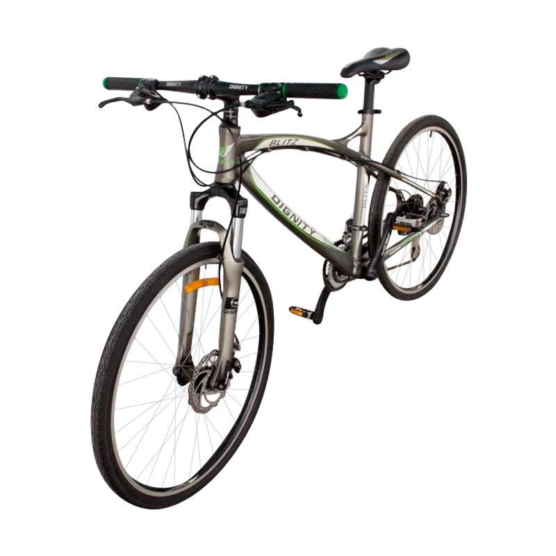 Jual Selis Dignity Type Blitz Sepeda MTB - Gold Online Maret 2021 | Blibli