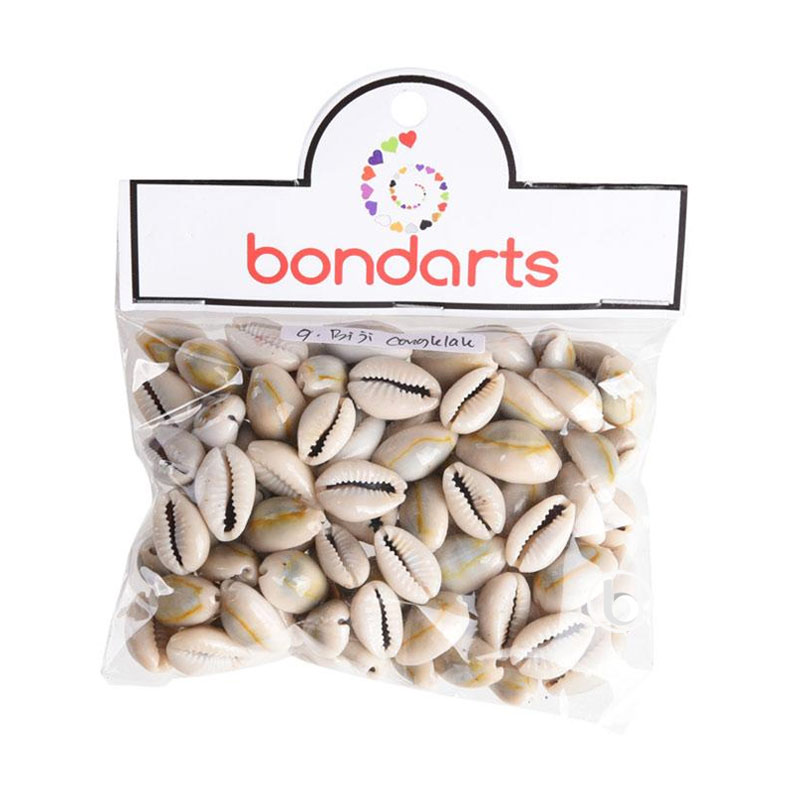 Jual Bondarts Kerang Biji Congklak Cypraea Anallus 