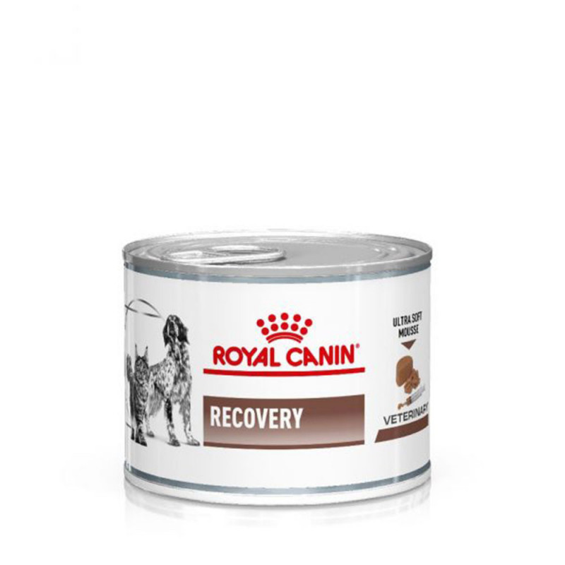 Royal canin sales recovery harga