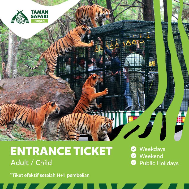 tiket wisata taman safari indonesia