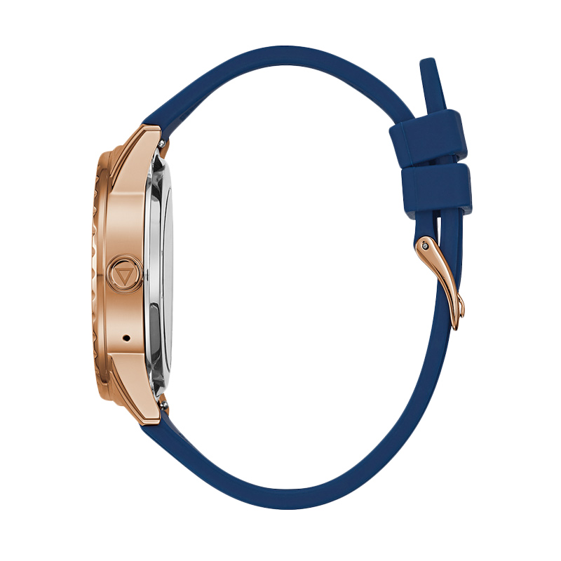 guess c1002m2