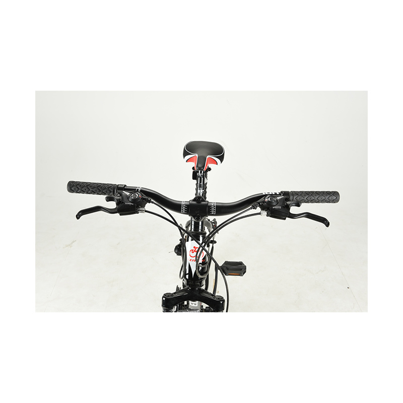 Jual Element Alton Sepeda MTB Black Red Frame Steel 21 