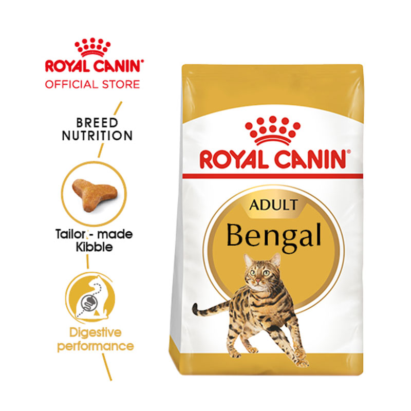 Jual Royal Canin Adult Bengal Makanan Kucing Dewasa Dry 2 Kg