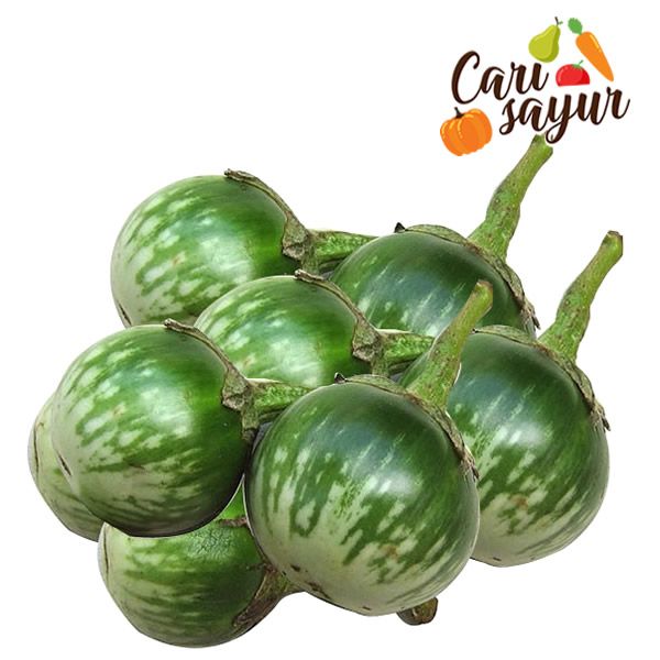 Jual CARI SAYUR - Terong Bulat Hijau [500 g] di Seller Dede collection