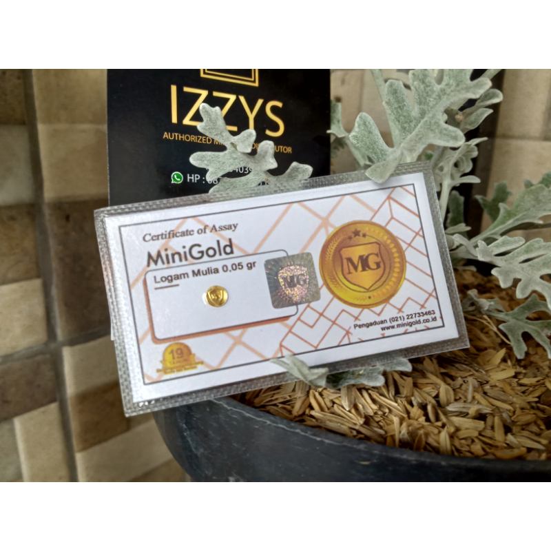Jual Antam Minigold Logam Mulia 0 05 G Murah Mei 2021 