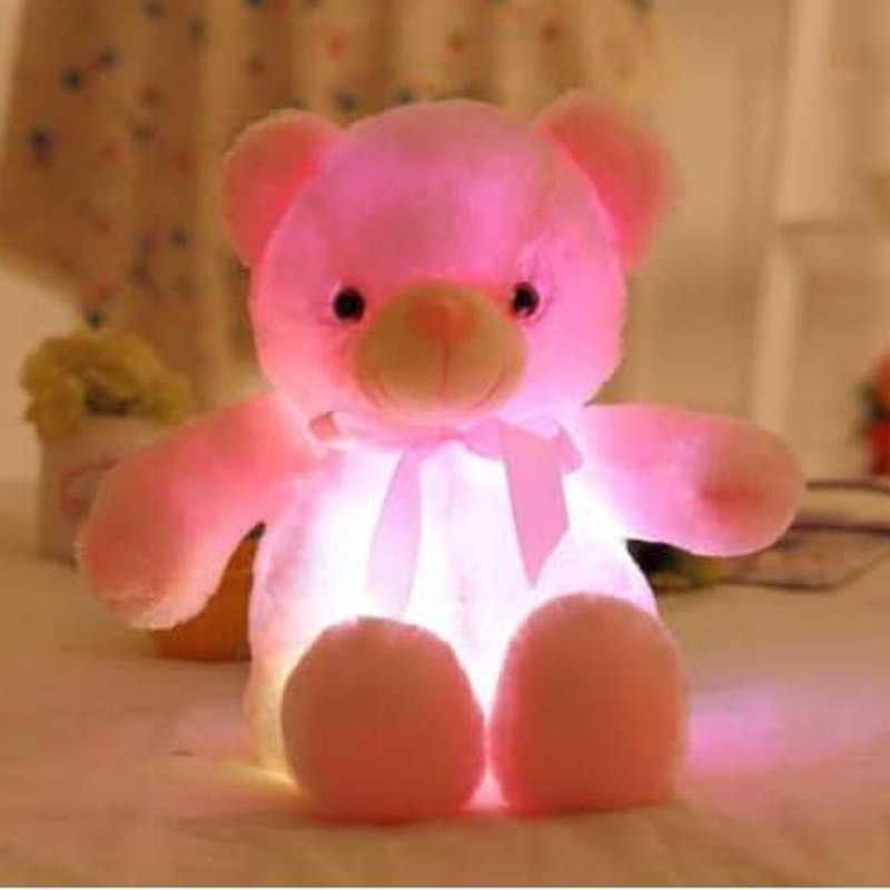 teddy led