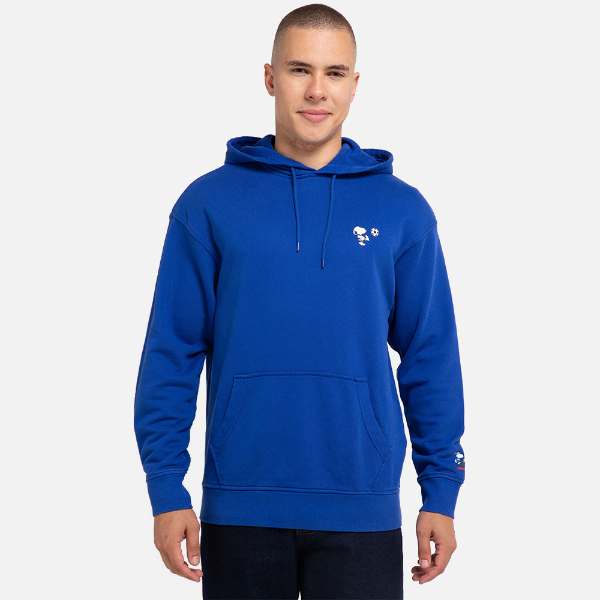 Jual Levi's T3 Relaxd Graphic Hoodie 