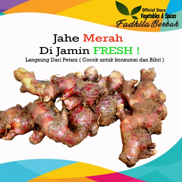 harga jae merah per kilo di indonesia AniyataroCarrillo