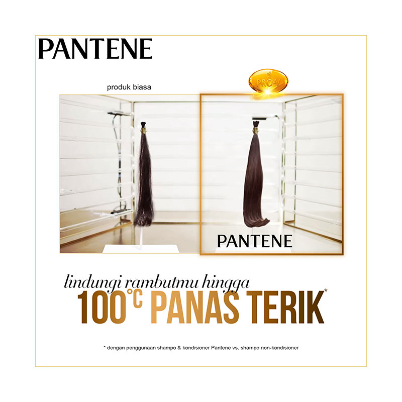 Jual Pantene Shampoo Anti Dandruff [480 mL] Murah April