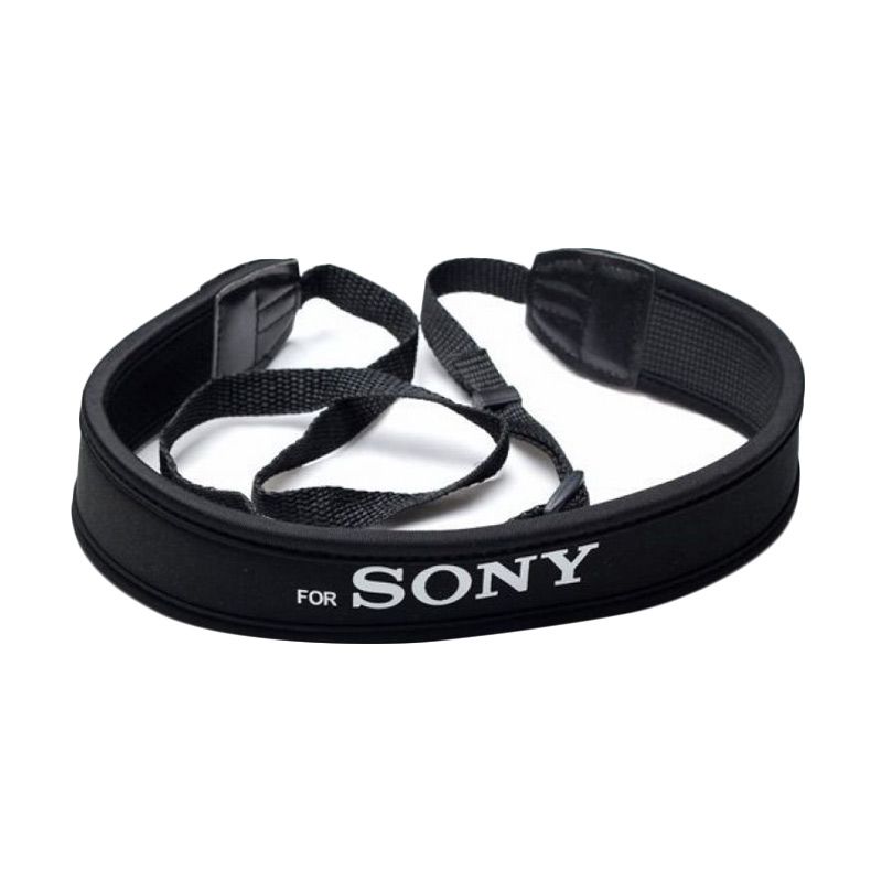the ring chime pro