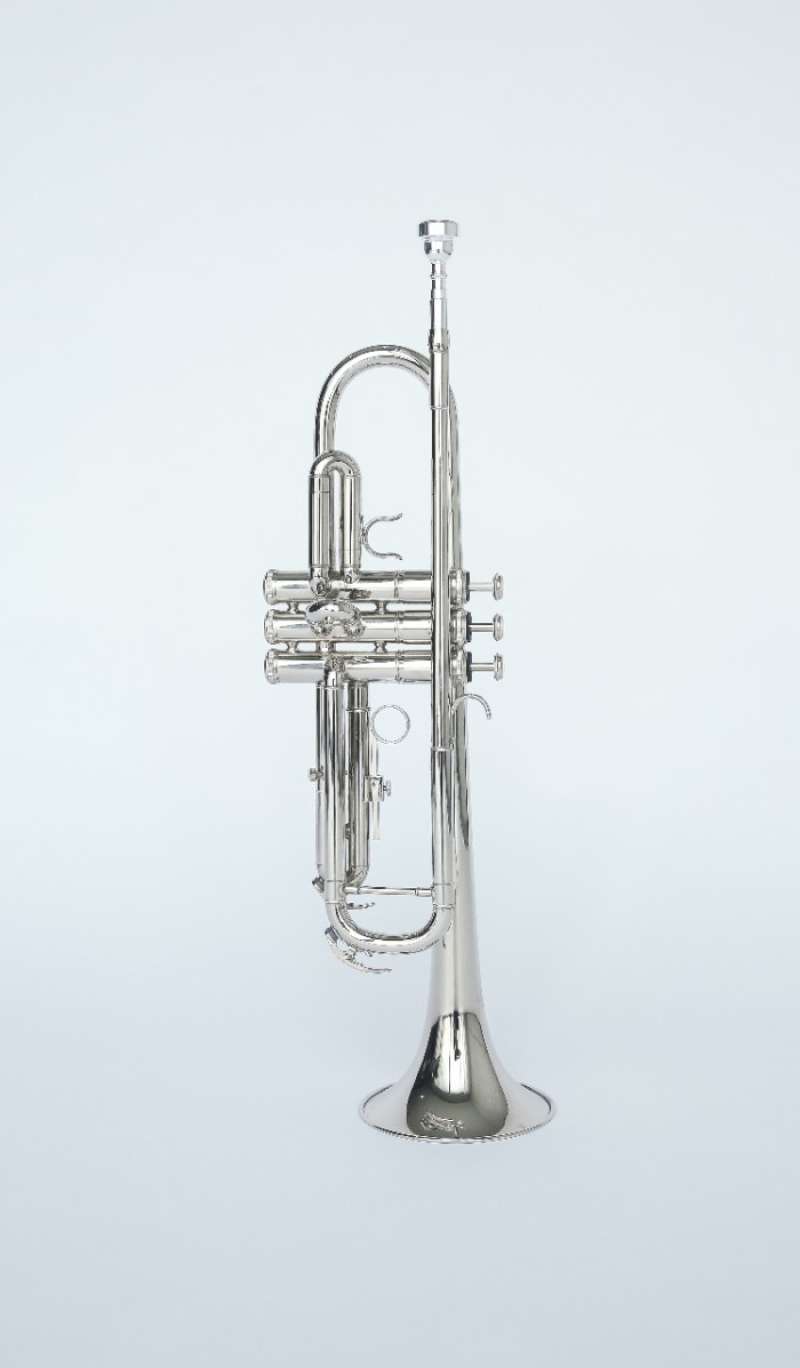 Promo Trumpet (Royale) RTR1000 Nickel Diskon 23 di Seller Qeira Store