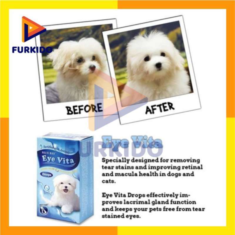 Eye vita drops for dogs sales
