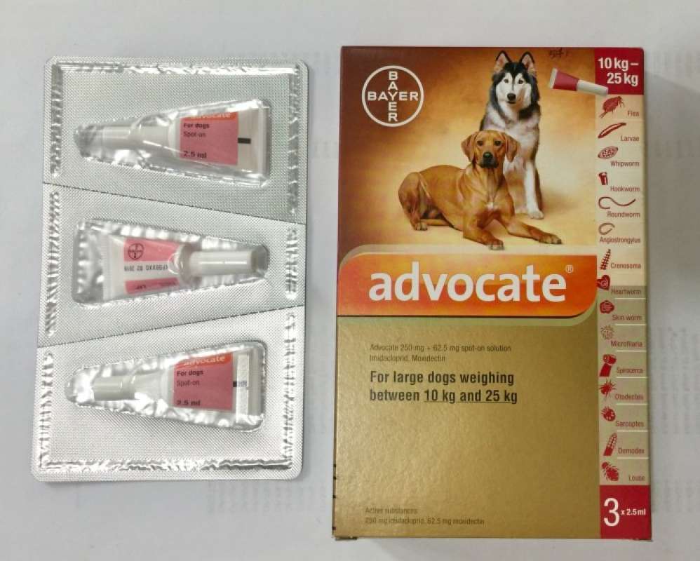 Advocate 250 large dog sales