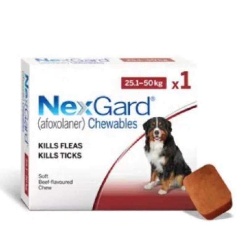 Promo Nexgard (25-50Kg) Xl Dogs Obat Kutu Anjing Tablet - Chewable ...