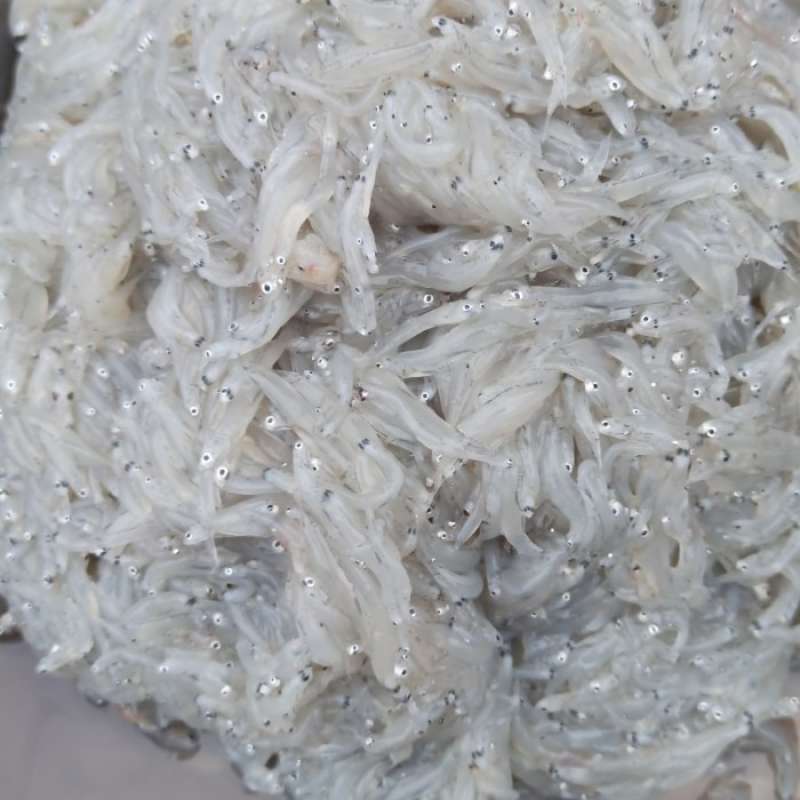 Mengarungi Lautan Bisnis: Sukses Berjualan Ikan Basah Online