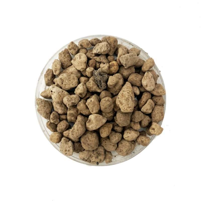 Jual Pumice stone substrate / potting mix / filter aquarium / media