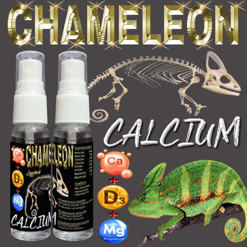 Liquid calcium for chameleons store
