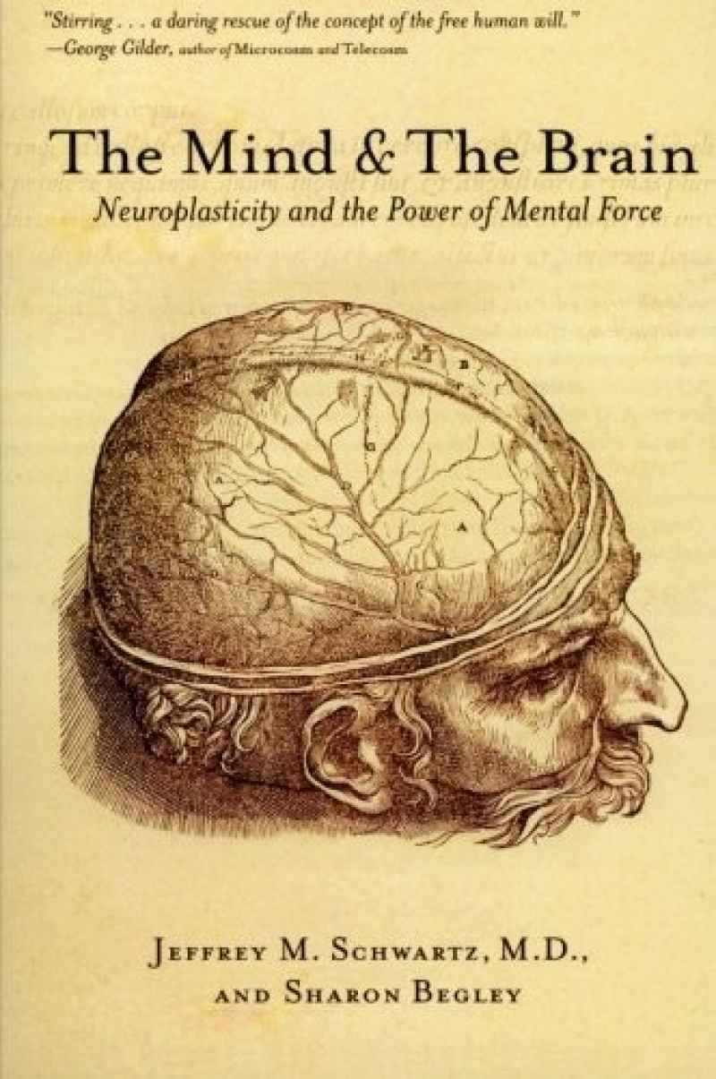 Promo The Mind And The Brain Neuroplasticity And The Power Of Mental Promo The Mind And The Brain Neuroplasticity And The Power Of Mental