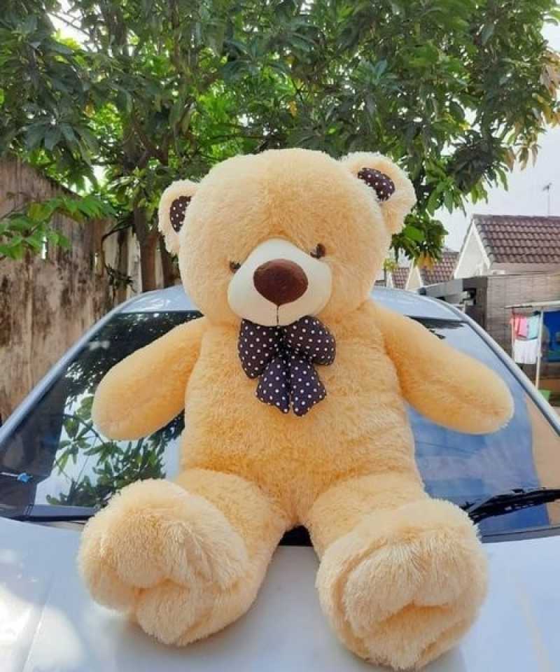 Jual Boneka Teddy Bear Besar Jumbo Cream Di Seller Fredrinn Store Kebon Kacang Kota Jakarta Pusat Blibli