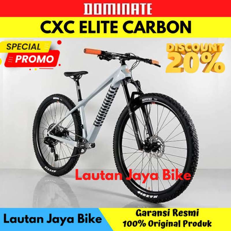 Frame dominate carbon 2025