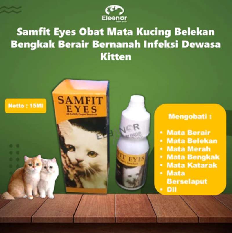Jual Kitten Odd Eyes Terbaik April 2026 - Harga Murah & Gratis Ongkir ...