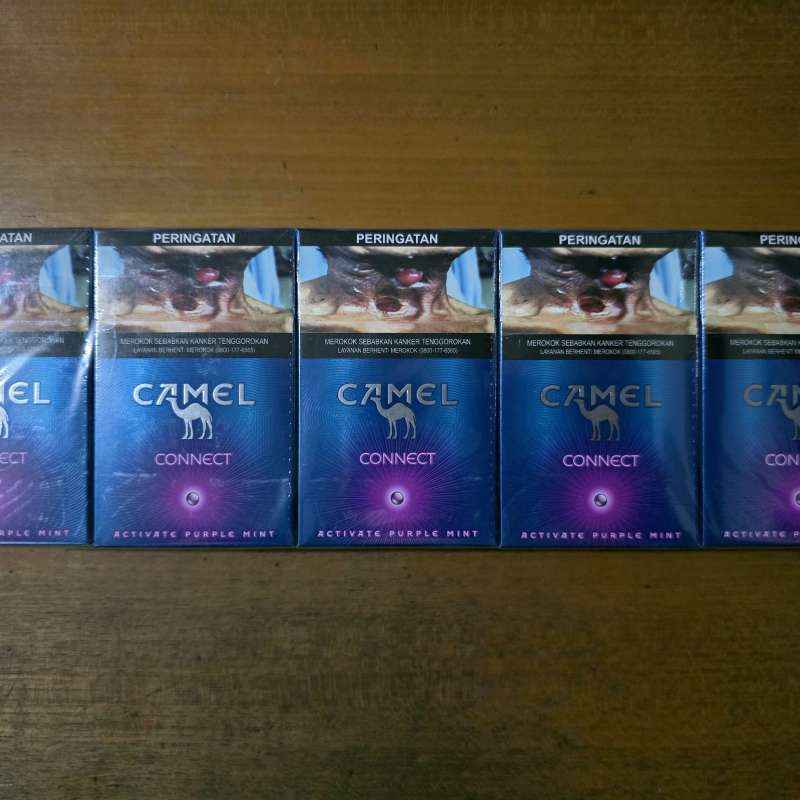 Camel Ungu Isi 20 🔥 Harga Grosir Juni 2026