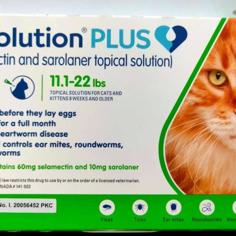 Promo Revolution obat tetes kutu Kucing Revolution plus cat 11.122 lbs