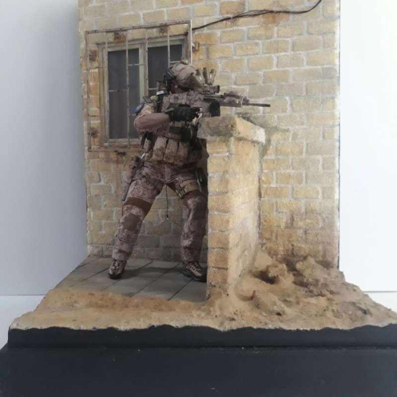 Jual Pree Order 1/6 Scale Diorama Damtoys #soldier Story# ...