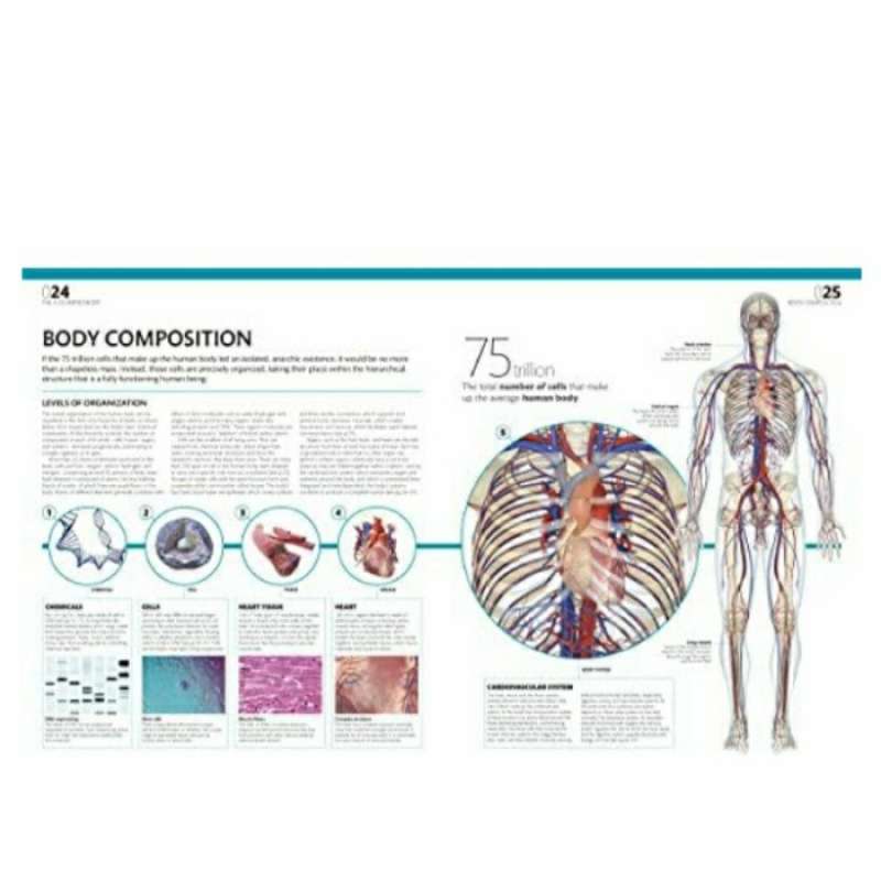 Promo The Complete Human Body – The Definitive Visual Guide Diskon 23% ...
