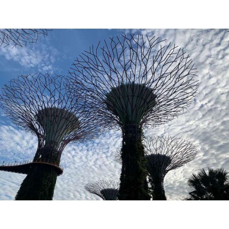 Promo Gardens by the Bay Flower Dome + Supertree Observatory+ Floral