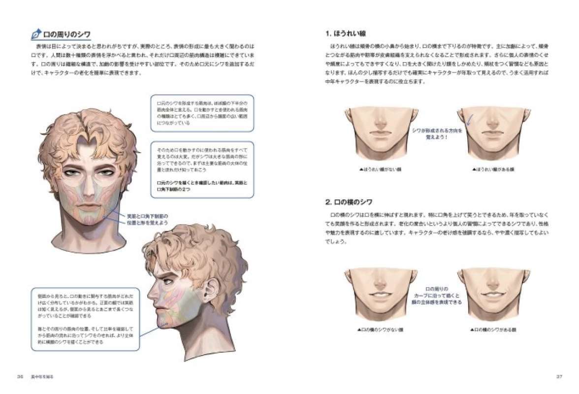 Promo How To Draw Beautiful Middle Age Man By Ragno & Vamoon Diskon 28% ...