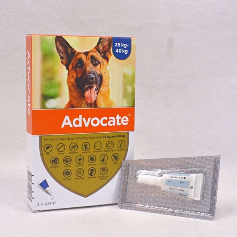 Advocate For XL Dog 25kg up Obat Parasit