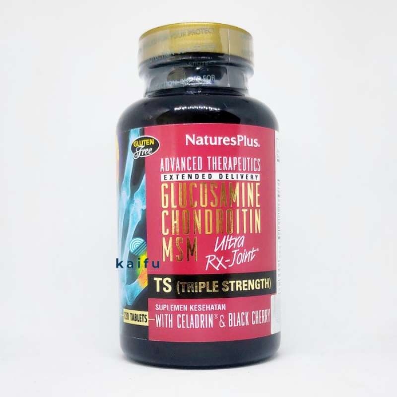 Promo Nature Plus Glucosamine Chondroitin Msm Ultra Rx Joint Triple