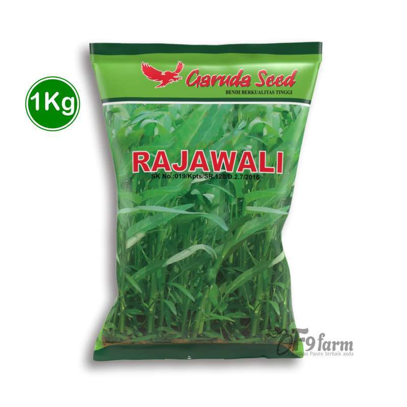 Kangkung Daun Lebar Rajawali Garuda Seed
