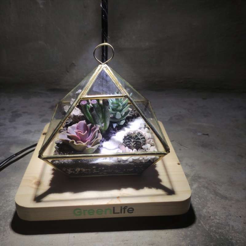 Jual Piramidies Tipe Ii Terrarium Kaktus Terarium (Diy) Kit