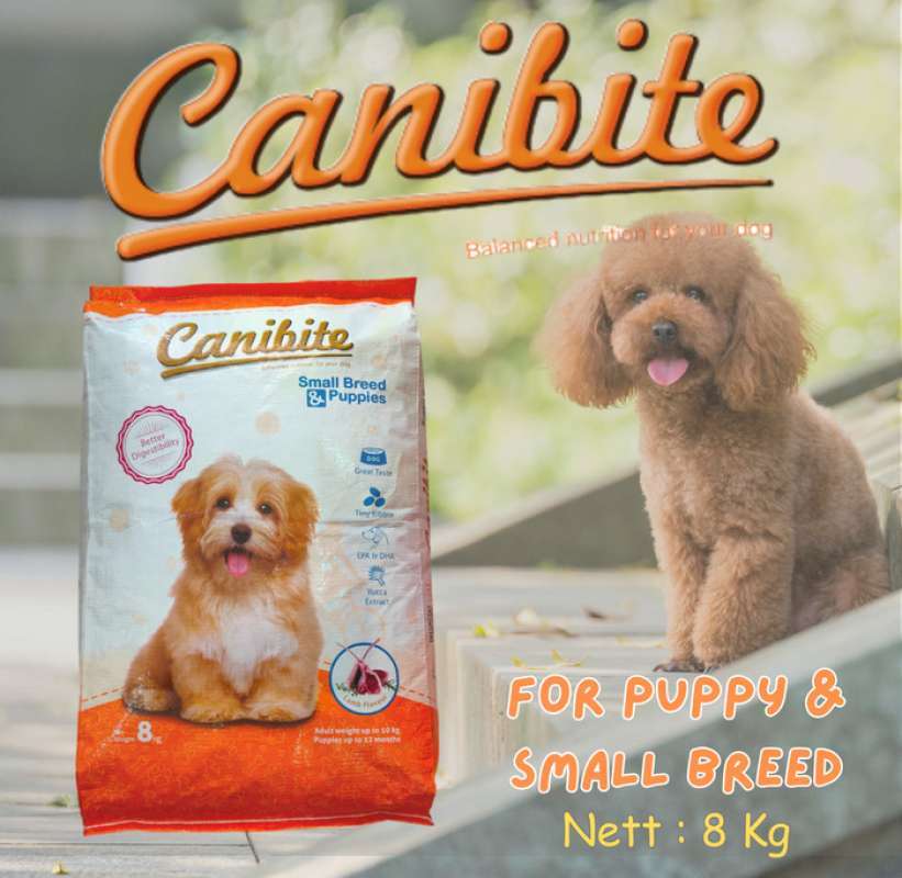 Dry Dog Best Small Bite Dog Food Canidae PURE Petite Small Breed