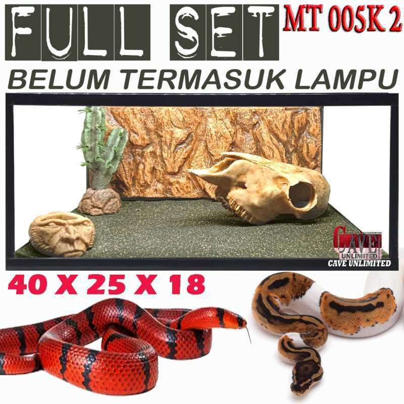 Jual Ular Ball Terdekat 🏷️ Harga Grosir Murah Terupdate Hari Ini Juli 2026