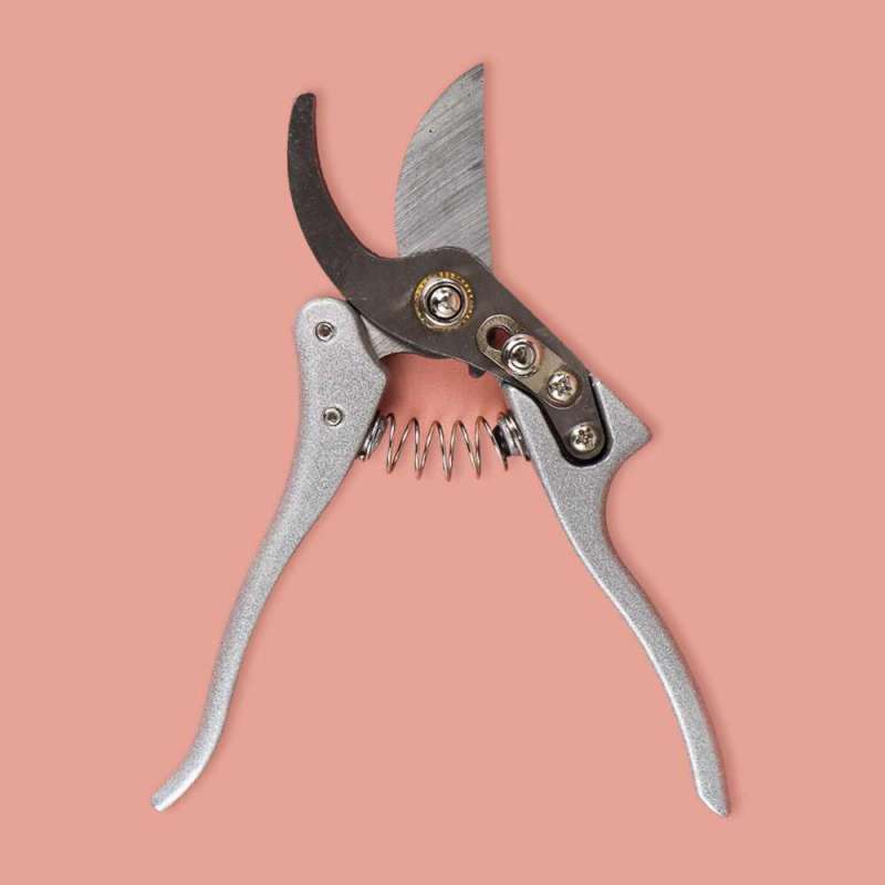 Jual Gs Gunting Taman Ranting Garden Pruning Shear Scissors Hgs01