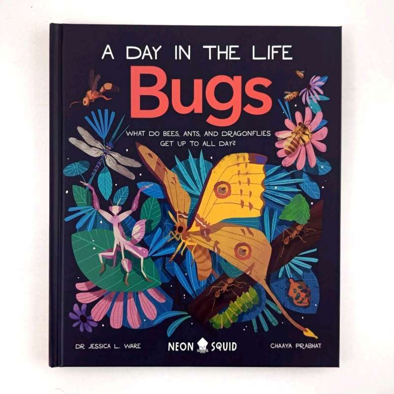Jual Neon Squid A Day In The Life Bugs What Do Bees, Ants, And ...