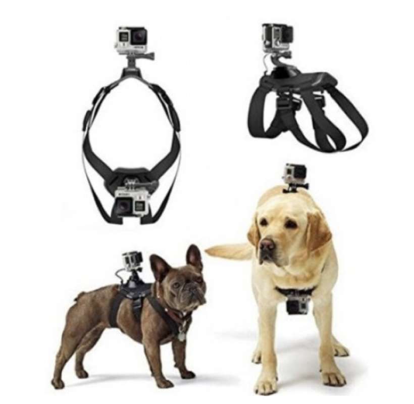 Gopro cat harness top