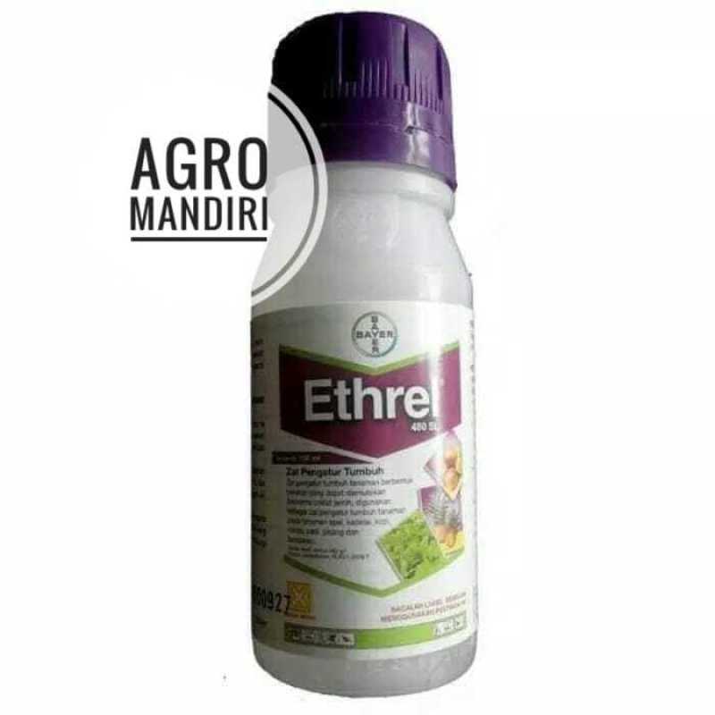 Jual Ethrel 480 Sl 100 Ml Zat Pengatur Tumbuh Dan Pemasak Pematang Buah ...