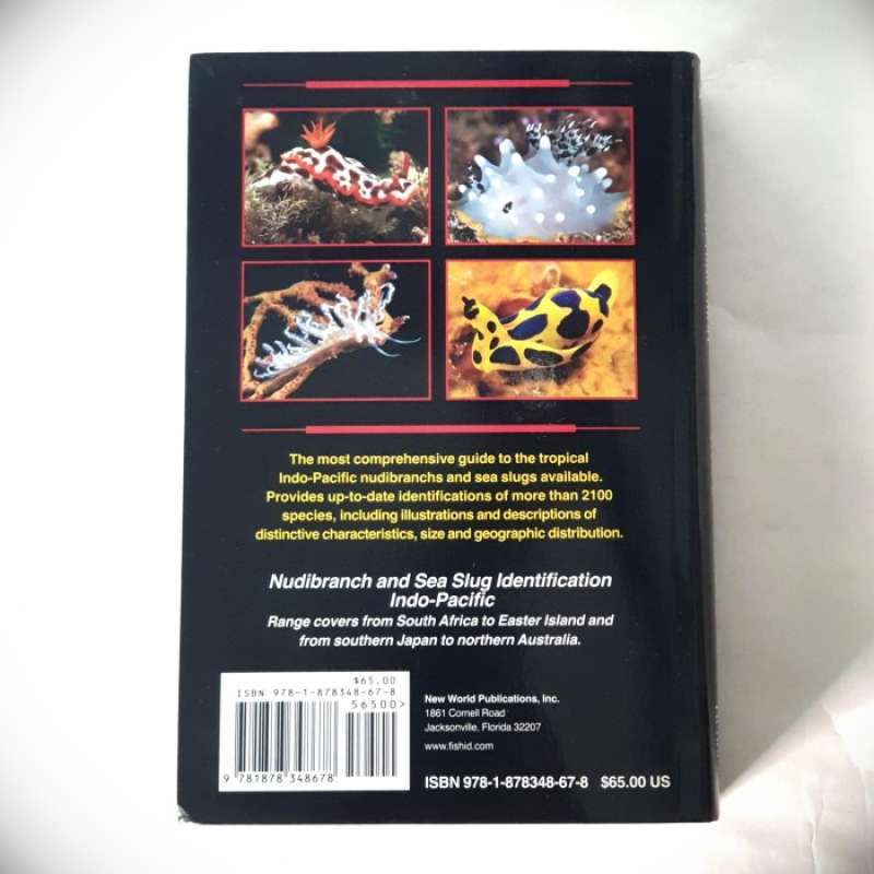 Promo Buku Nudibranch & Sea Slug Identification Indo Pacific 2nd ...